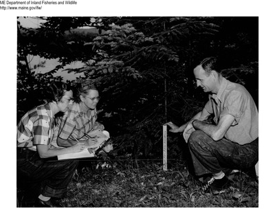 Historic Maine fisheries fieldwork at Bryant Pond